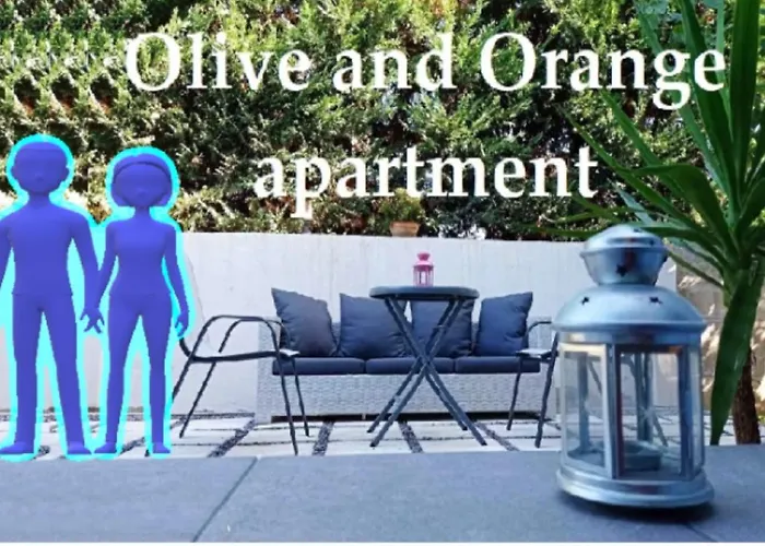 Olive And Orange Apartment