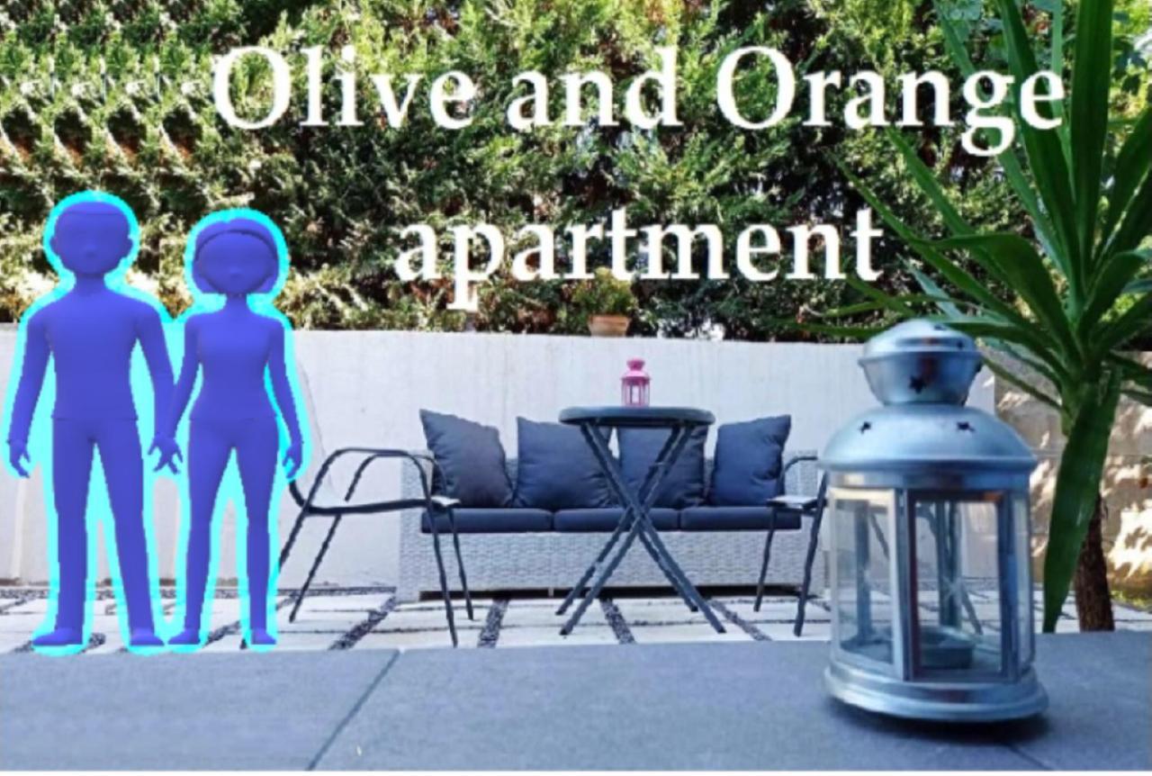 Olive And Orange