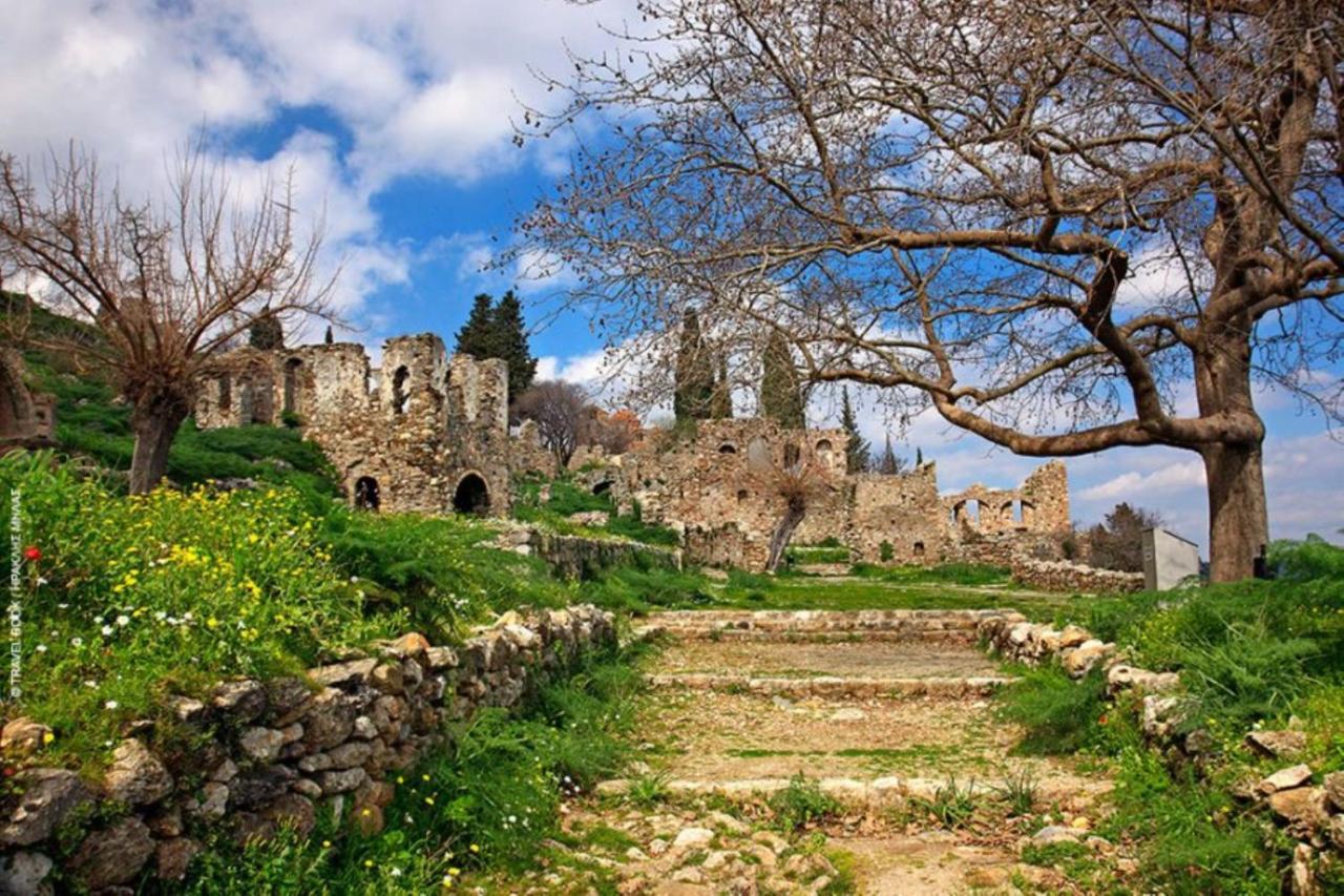 Olive And Orange Mystras